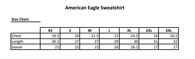 American Eagle sweatshirt