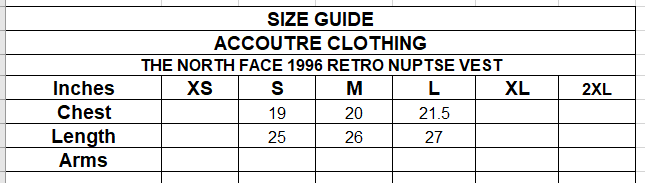 THE NORTH FACE 1996 RETRO NUPTSE VEST - Copy(1)