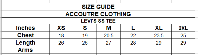 LEVIS SS TEES 22
