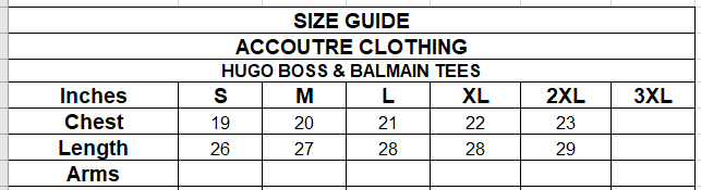 HUGO BOSS & BALMAIN TEES