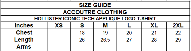 HOLLISTER ICONIC TECH APPLIQUE LOGO T-SHIRT