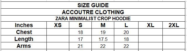 ZARA MINIMALIST CROP HOODIE